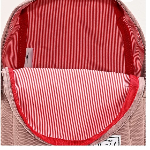 Dusty Rose Hershel backpack - Picture 6 of 8